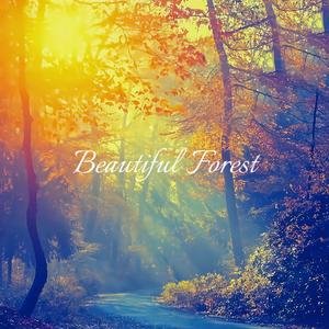 Forests are beautiful(Original Mix)