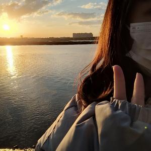 所念皆星河