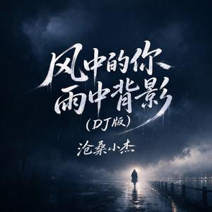风中的你雨中背影(DJ版)