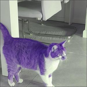 sie waren mal freunde (demo)