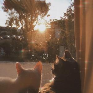 月亮代表我的心 R&B - Hip Hop