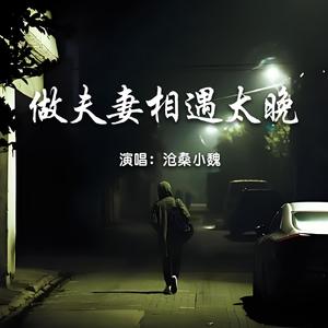 做夫妻相遇太晚 (男版)