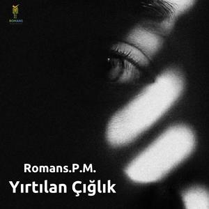 Yırtılan Çığlık (VI)