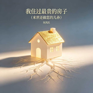 我住过最贵的房子（来世还做您的儿孙）