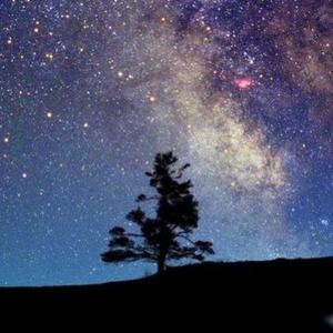 慰藉（prod by EVO MUSIC）