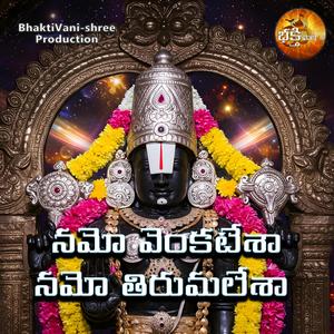 నమో వెంకటేశా నమో తిరుమలేశా (feat. ANIL CH)