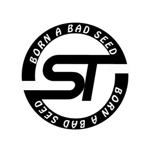 ANTS -Stefan lin（Origina lMIX）