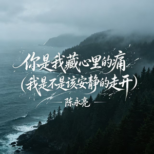 你是我藏心里的痛(我是不是该安静的走开)