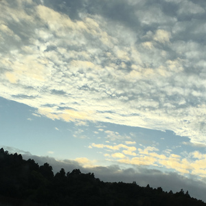 バトルロワイヤル