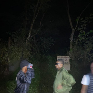 Jungle