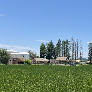 穿过星空拥抱你_李乐意.wav