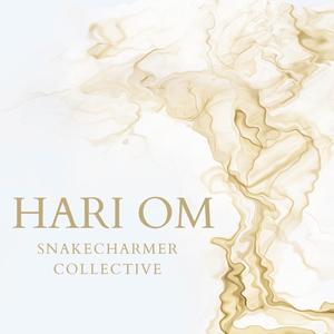 Hari Om (feat. Viktor Frih, Jochem Meijer, Diana Bolo & Johanna Swartling)