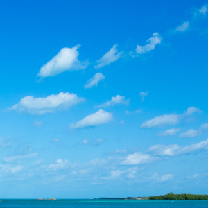 荒唐的是我没有办法遗忘 (3)