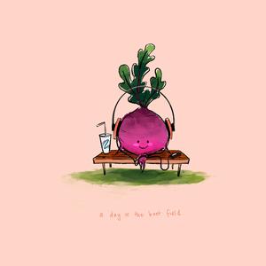 A Day in the Beet Field
