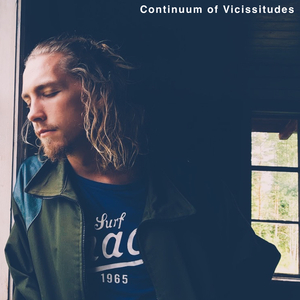 Vicissitudes