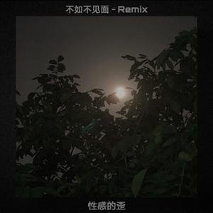 梁老师Tsong-不如不见面（性感的歪 remix）