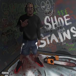 Shoe Stain