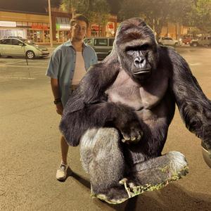 Harambe