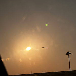 失去后只剩怀念