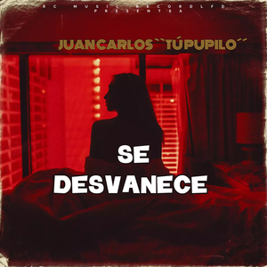 SE DESVANECE