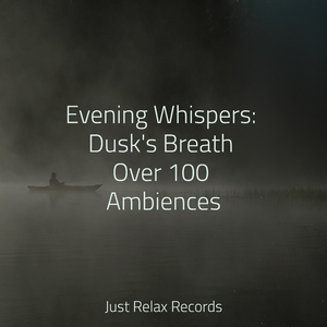 Whispers of the Sun Kissed Sky