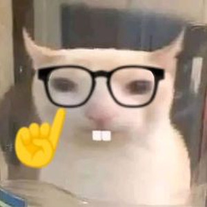 Villuminati (slowed)