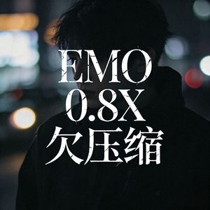 我不说我不想0.8X