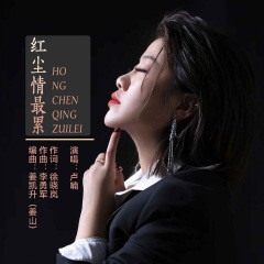 红尘情最累 (伴奏)(DJ默涵版)