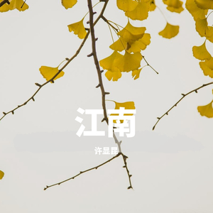 许显昆- 江南（翻自 M3）