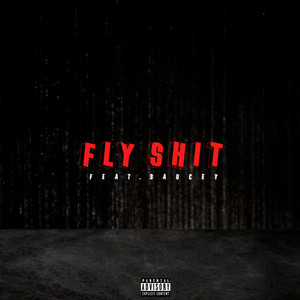 Fly Shit