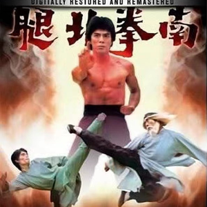 南 拳 北 腿