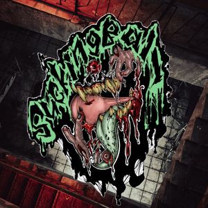 《小 骑 行 记 》？！