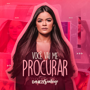 Você vai me Procurar