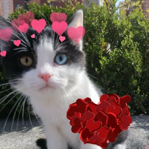 无需理由Prod.Gr33nartBeats