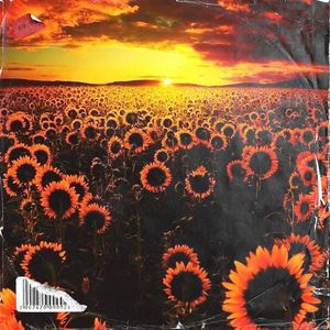 【FREE】''Sunflower'' Dream Guitar Type Beat