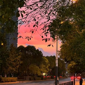 萱草花_好好学习_