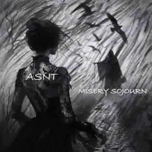 Misery Sojourn (Radio Edit)