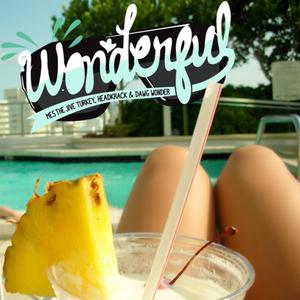 Wonderful (feat. Headkrack & Dawg Wonder)