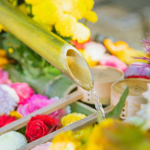 静かな夜 Shizuka na Yoru