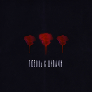 Любовь с шипами