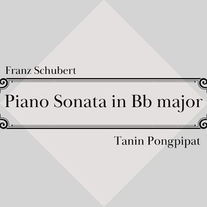 Piano Sonata in B-Flat Minor, D. 960:II. Andante sostenuto