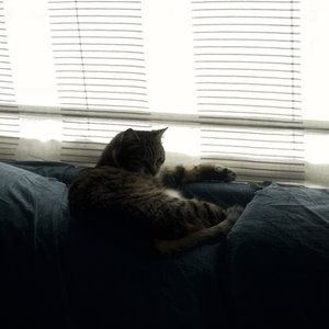 ひとりっ子のうた