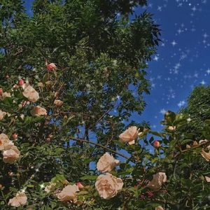 卸载(prod by Lyoung)