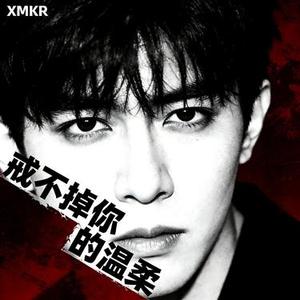 戒不掉你的温柔