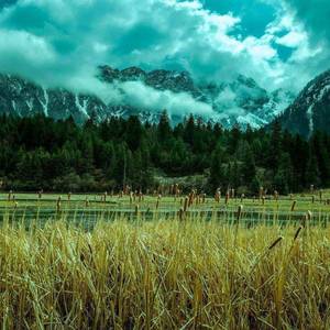 坚持不会动的心