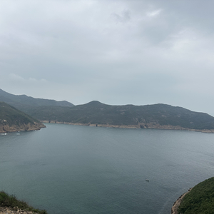 爱的痛苦与回应