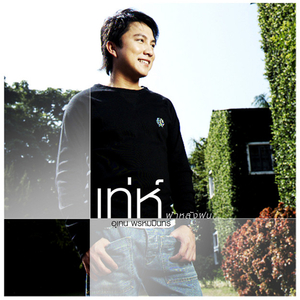 อยากจะดอง (เป็นทองแผ่นเดียว)