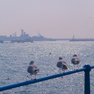 失落海港（Lost harbor）