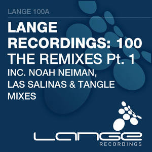 Brandalism (Noah Neiman Remix)