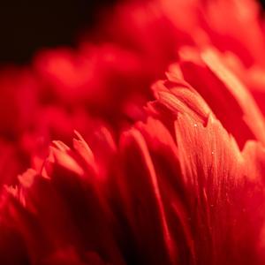 火音古筝 提升行动力